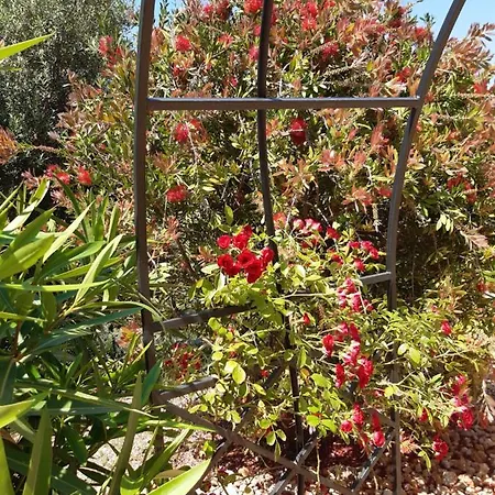 Alojamento de Acomodação e Pequeno-almoço Casa Lennisa Campell