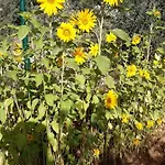 Casa Lennisa Bed and breakfast