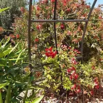 Bed and breakfast Casa Lennisa Campell