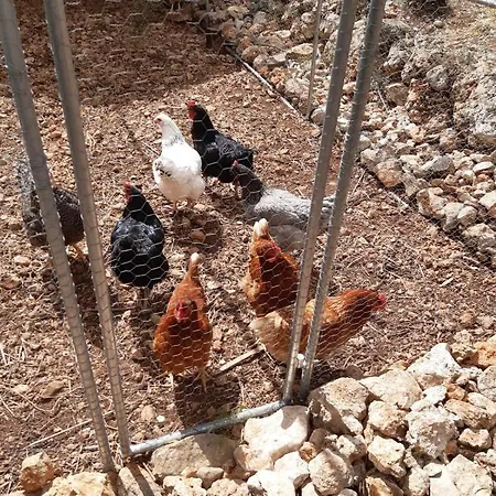 Casa Lennisa לינה וארוחת בוקר 4*