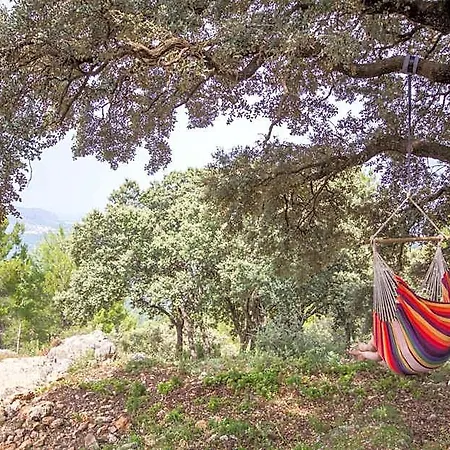 Casa Lennisa Bed and breakfast 4*