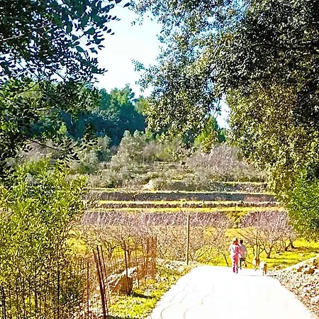 Casa Lennisa Bed and breakfast Campell