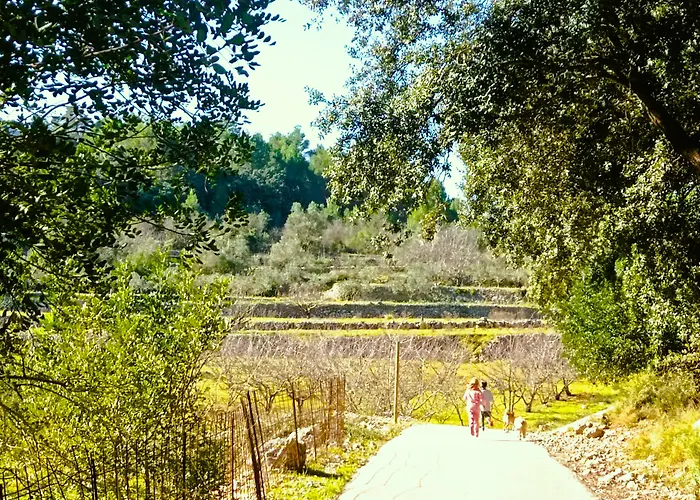 Bed & Breakfast Casa Lennisa Campell