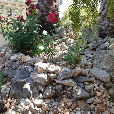 Casa Lennisa