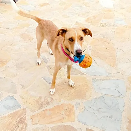 Casa Lennisa Campell